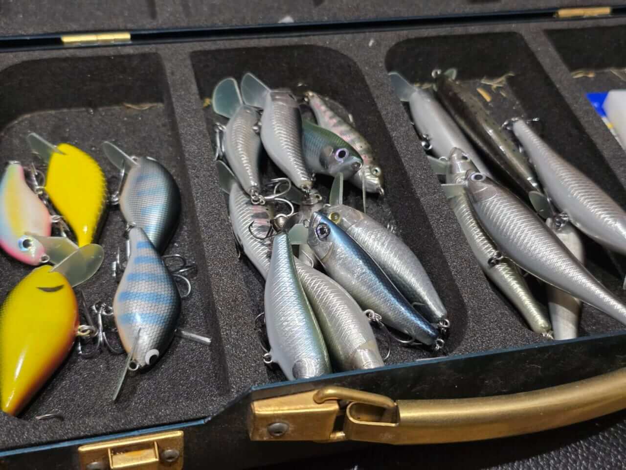 画像 No.0/54] 【変〇集団⁉】自分で作ったルアーだけが使えるバス釣り