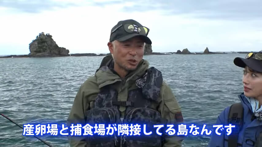 ｜釣れないデカイカに効く！プロが教える「エギ選び」の鉄則とは？【湯川マサタカ】