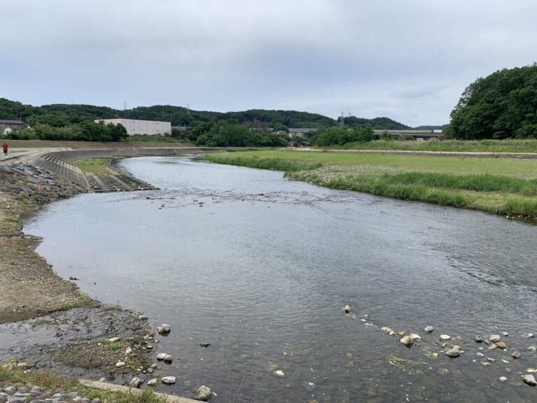 ハス釣り｜ハスフィッシング｜〈初心者の釣り〉“ハス”の生態／釣りシーズン／釣り方／仕掛け／食べ方【清流を駆ける淡水専門フィッシュイーター】