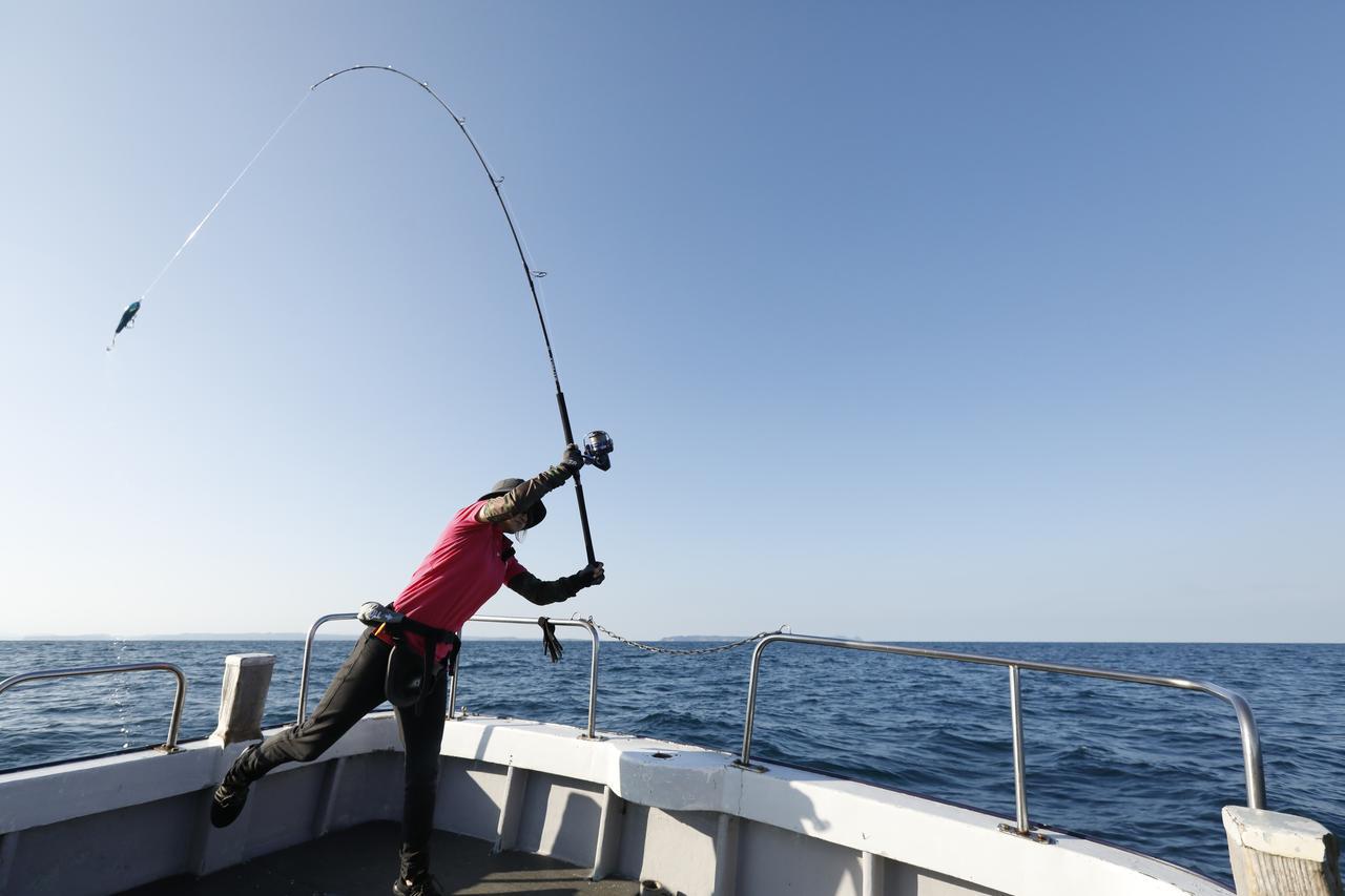 ｜[夏の魚を釣りたい!] シイラ：夏の海を駆ける最強のスプリンター