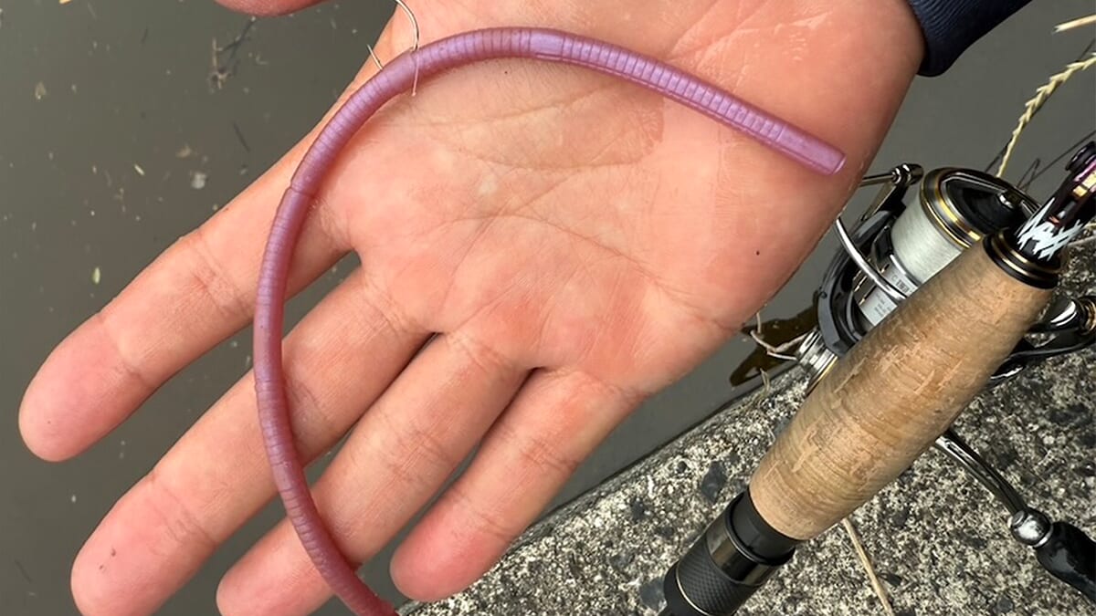 ｜【夏バテ系バスにはこれで決まり】ミミズ待ちパターン切り替えていきなり3発。好きなサイズにカットして『エサ認定』がもらえます