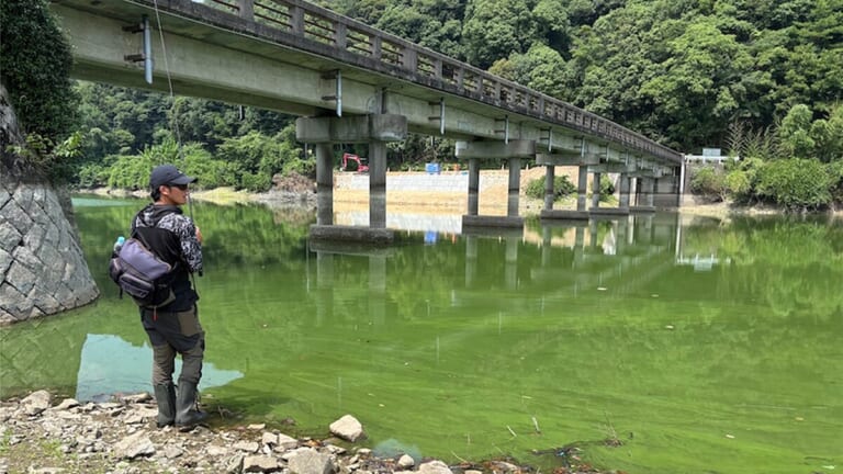 「山口県で釣りをしたことがない、なら挑戦だ！」しかし…、予想外の状況に苦戦。「やっぱりロケ運ないわ」【週刊ササカツ無双】