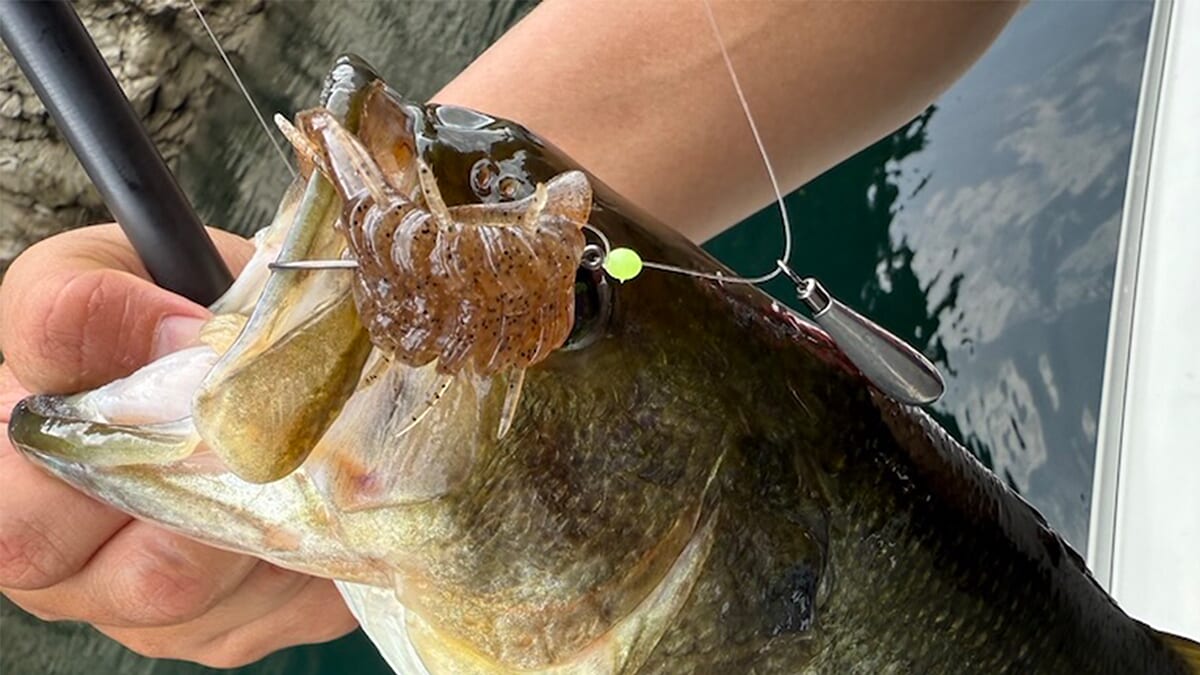 ｜バタバタクローが魚からエサ認定!? 反則級に釣れる使い方とは？