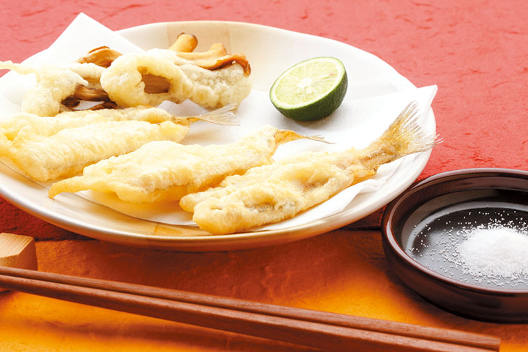 シロギス釣り｜天ぷら｜〈初心者の釣り〉“シロギス”の生態／釣りシーズン／釣り方／仕掛け／食べ方【砂浜の女王、麗しき海のターゲット】