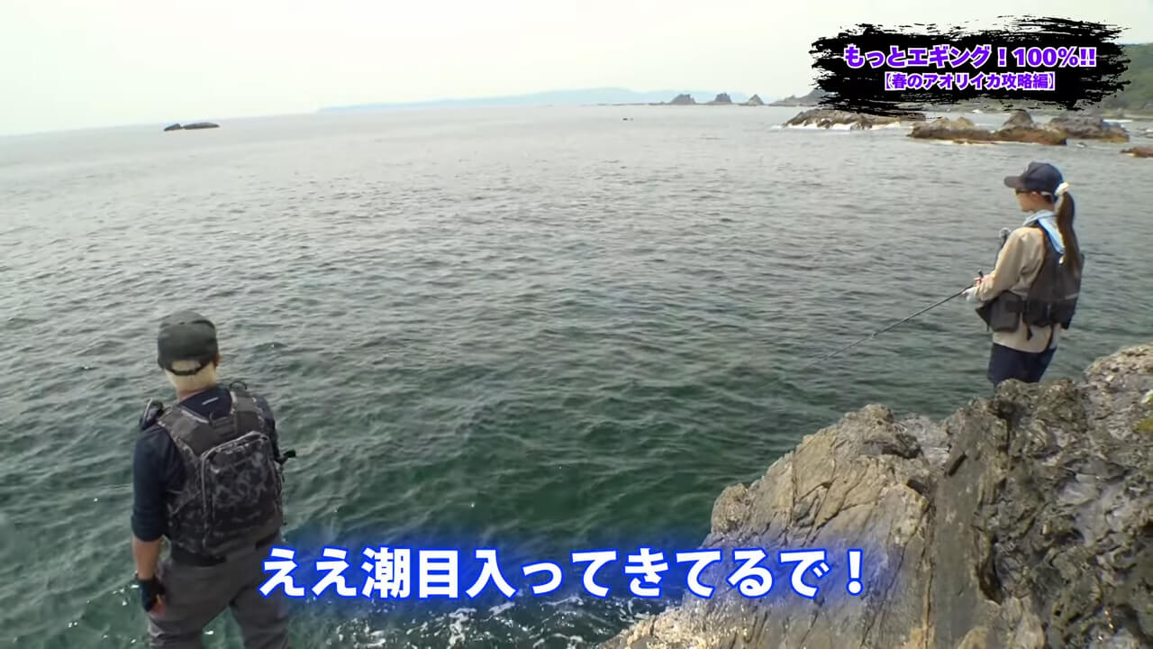 ｜釣れないデカイカに効く！プロが教える「エギ選び」の鉄則とは？【湯川マサタカ】