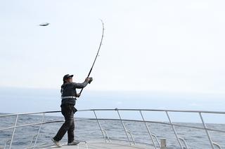 カツオ釣り｜オフショアキャスティング｜〈初心者の釣り〉“カツオ”の生態／釣りシーズン／釣り方／仕掛け／食べ方【黒潮を駆ける海の弾丸】