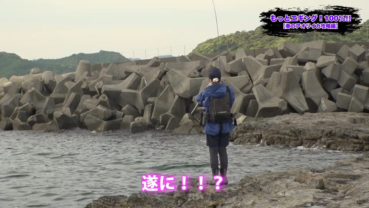 ｜釣れないデカイカに効く！プロが教える「エギ選び」の鉄則とは？【湯川マサタカ】