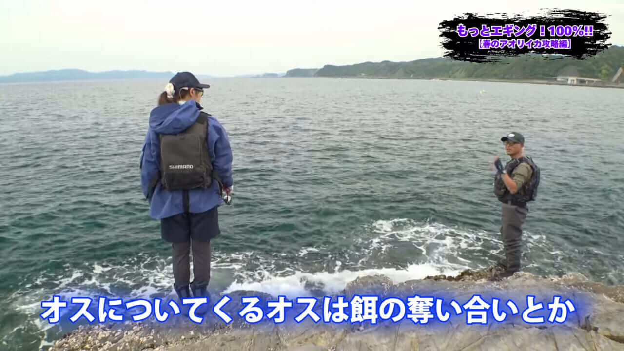 ｜釣れないデカイカに効く！プロが教える「エギ選び」の鉄則とは？【湯川マサタカ】