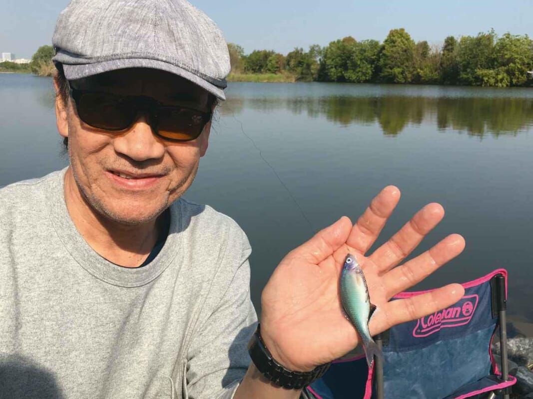 タナゴ釣り｜釣れたタナゴ｜〈初心者の釣り〉“タナゴ”の生態／釣りシーズン／釣り方／仕掛け【水中の宝石を追い求める、日本の伝統釣魚】