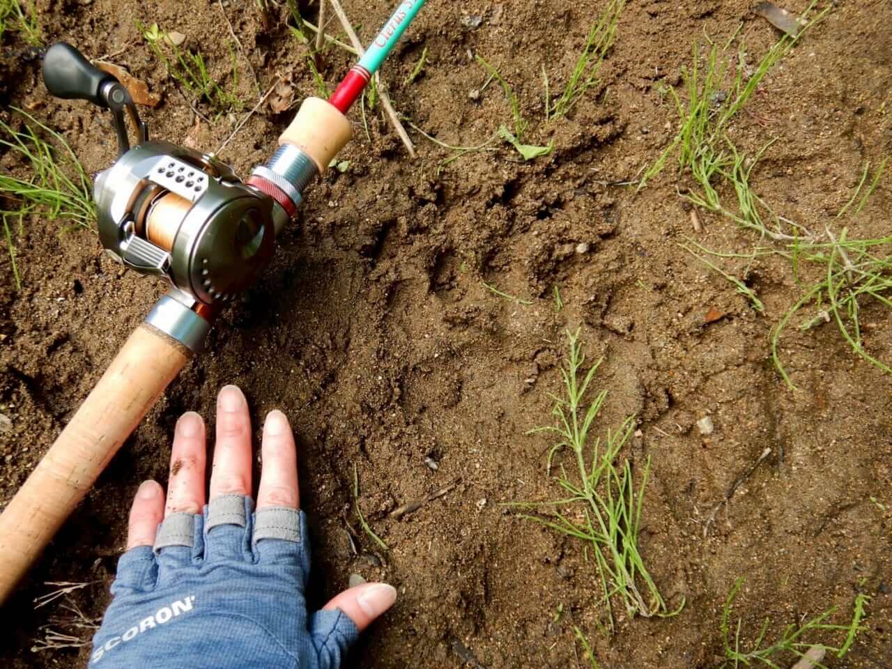 ｜熊出没警報も…。近年増加するクマの出没、悲惨な事故を防ぐために生まれたアイテムを実際に試してみた。