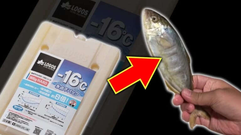 「魚がカチコチに凍ってる…。」超ロングセラーの保冷剤、もはや保冷力が強すぎるレベル。猛暑の夏はこれくらい必要かも。