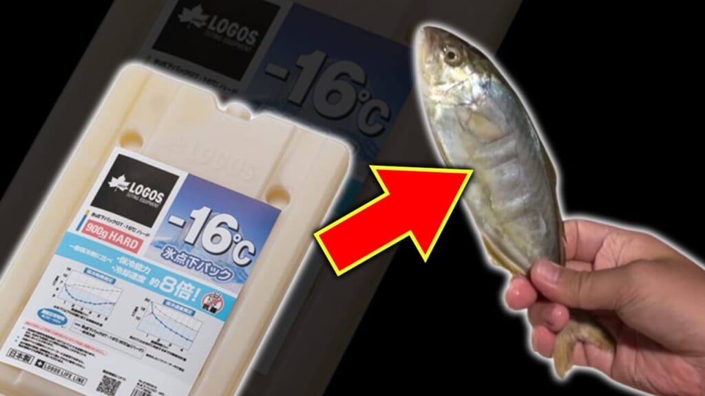 ｜「魚がカチコチに凍ってる…。」超ロングセラーの保冷剤、もはや保冷力が強すぎるレベル。猛暑の夏はこれくらい必要かも。