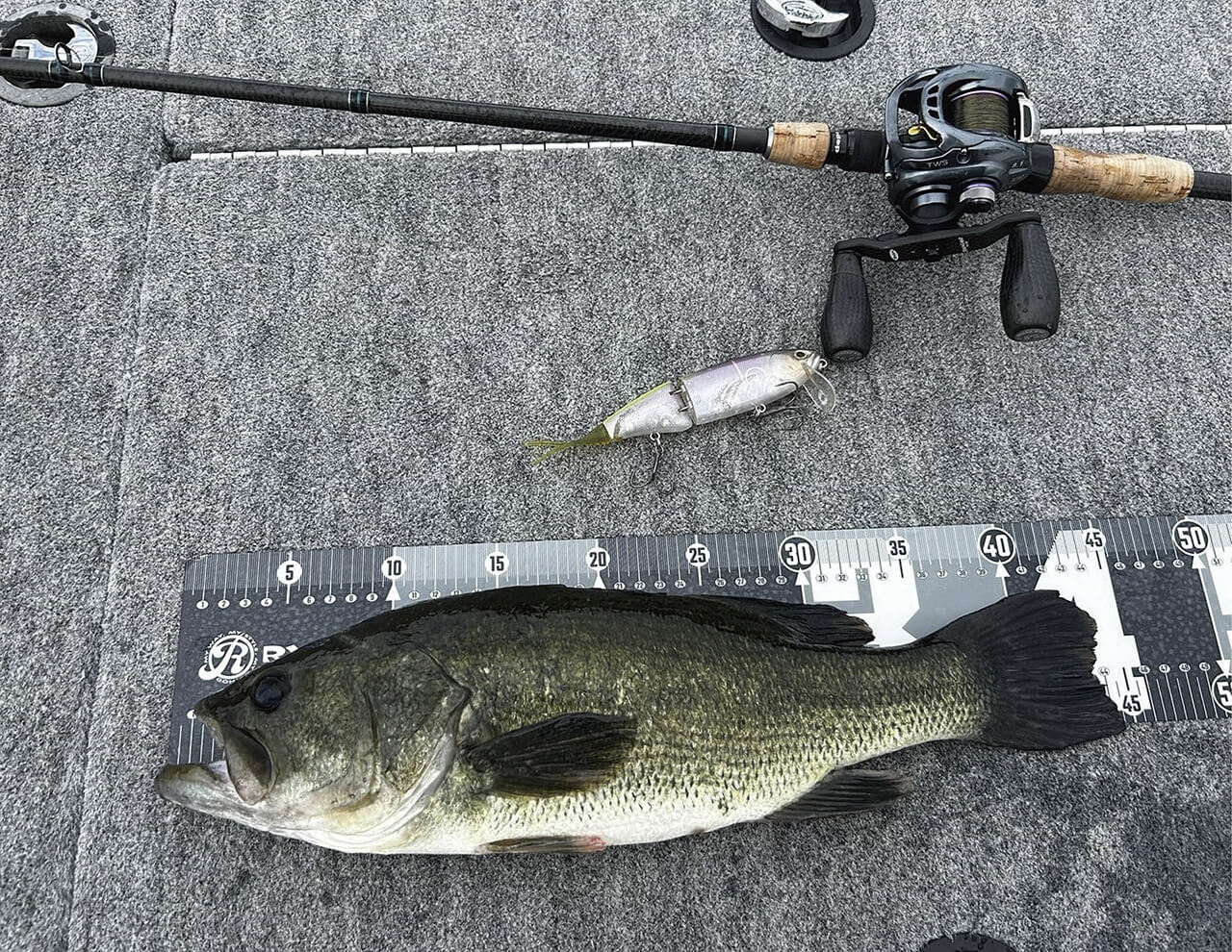 ｜【出た⁉出てない⁉】もう買えた⁉ デプスの最新ロッド6機種