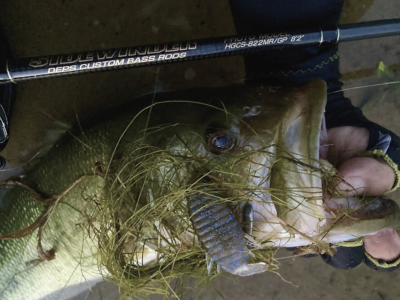 ｜【出た⁉出てない⁉】もう買えた⁉ デプスの最新ロッド6機種