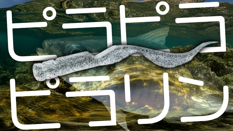 思わず名前を呼びたくなる可愛いルアー⁉極細テールが小さな生命感を生む!!
