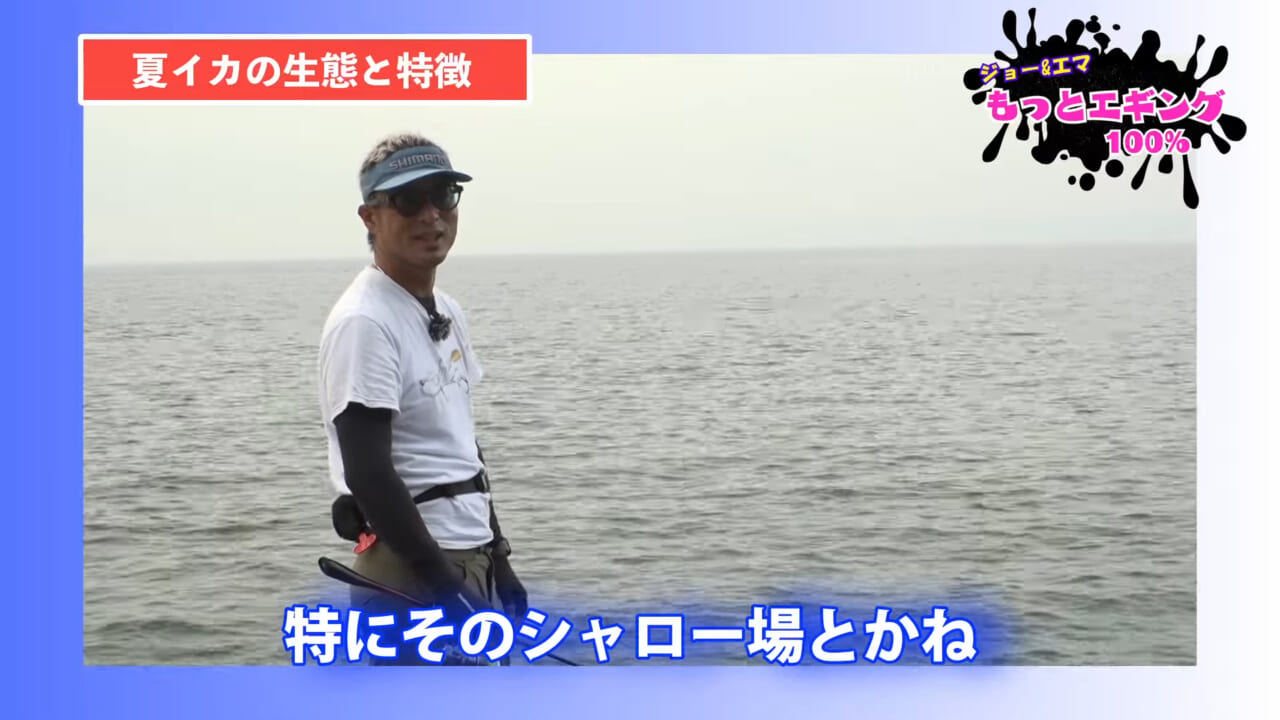 ｜夏の堤防エギング！キロアップアオリイカ攻略【湯川マサタカ直伝】