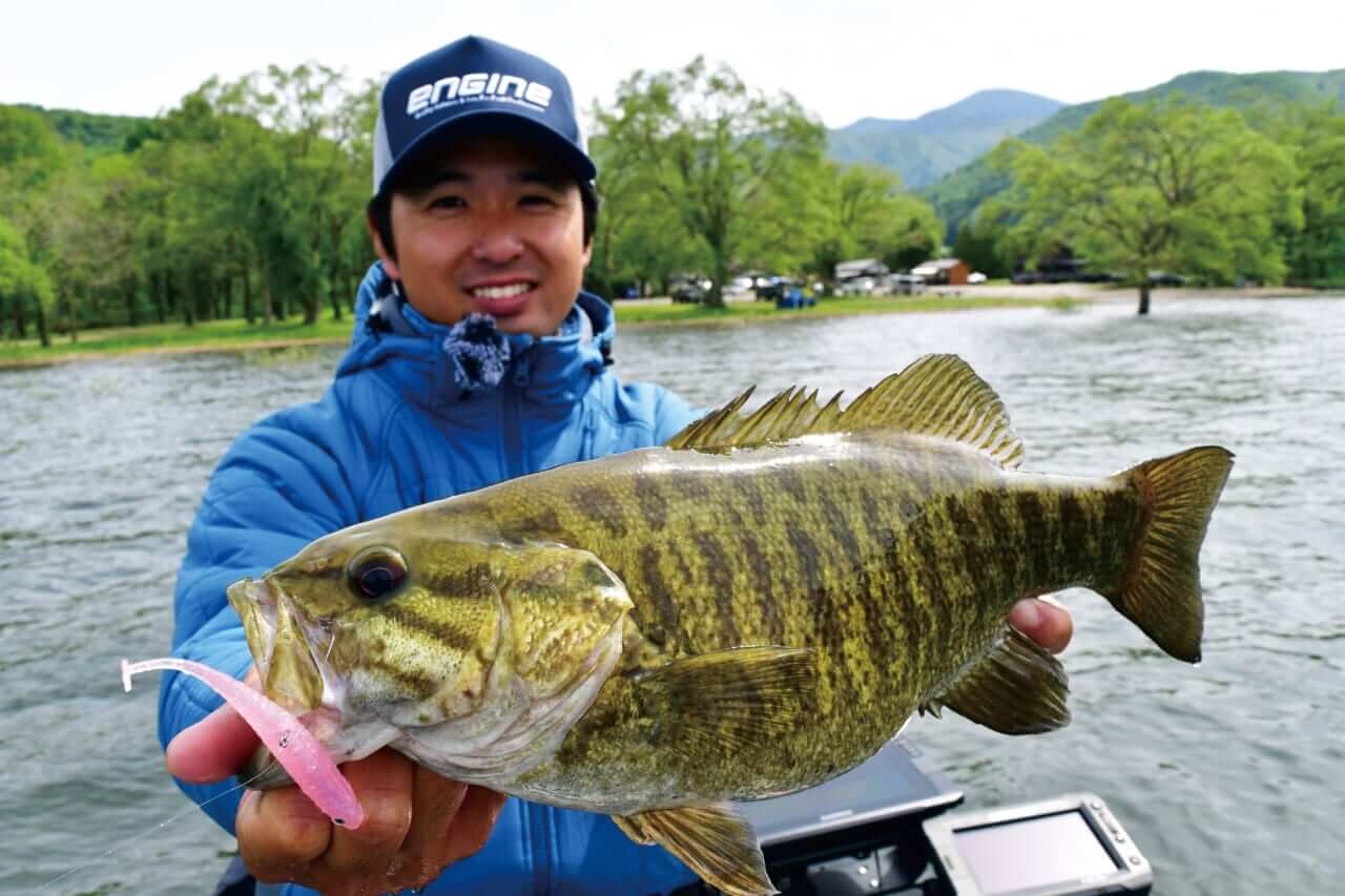 ｜スモールマウスが釣れまくり⁉一味違うシャッドテールを使いこなせ！