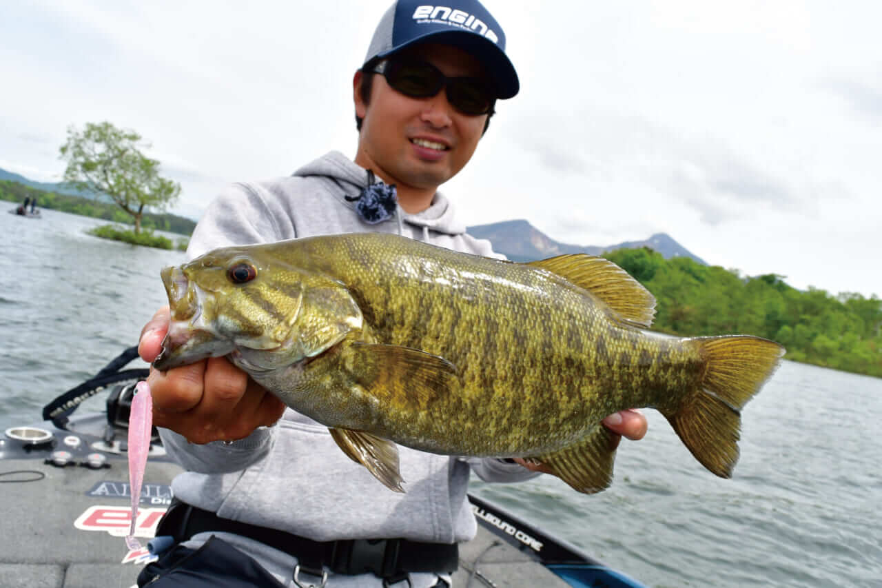 ｜スモールマウスが釣れまくり⁉一味違うシャッドテールを使いこなせ！