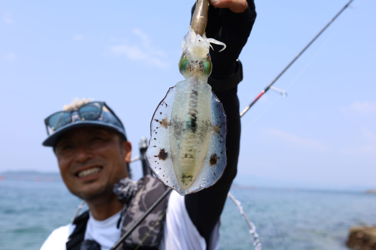 ｜夏の堤防エギング！キロアップアオリイカ攻略【湯川マサタカ直伝】