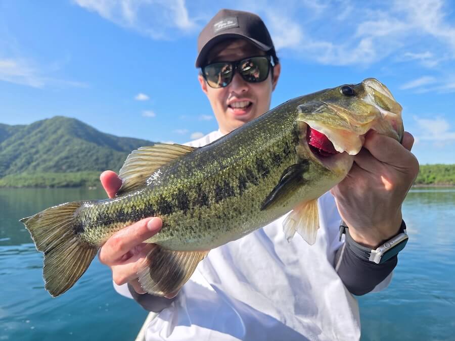 ｜大減水、見えバスおらず、夏なのにスポーニング…。「こんなおかしい状況、見たことない」プロも手を焼く西湖の今の攻略法は「セミ」!?