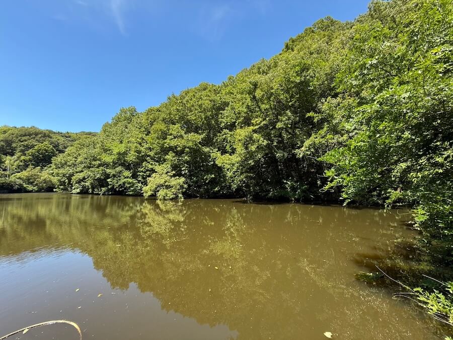 ｜【真夏のため池攻略】キーになるのはシェード。もっとも手堅く魚が触れるルアー！ スキッピングで滑り込ませて、フォールで食わせる！