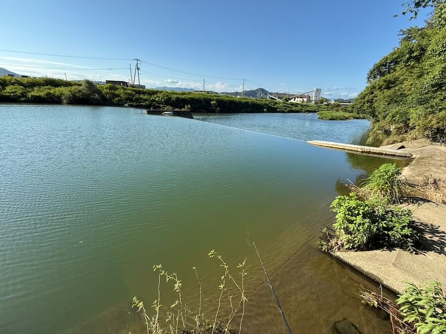 ｜「午後になると見えバスが消えた…」こんなあるあるな展開、対処法は簡単です！魚を探す過程と工夫が一番夢中になる！