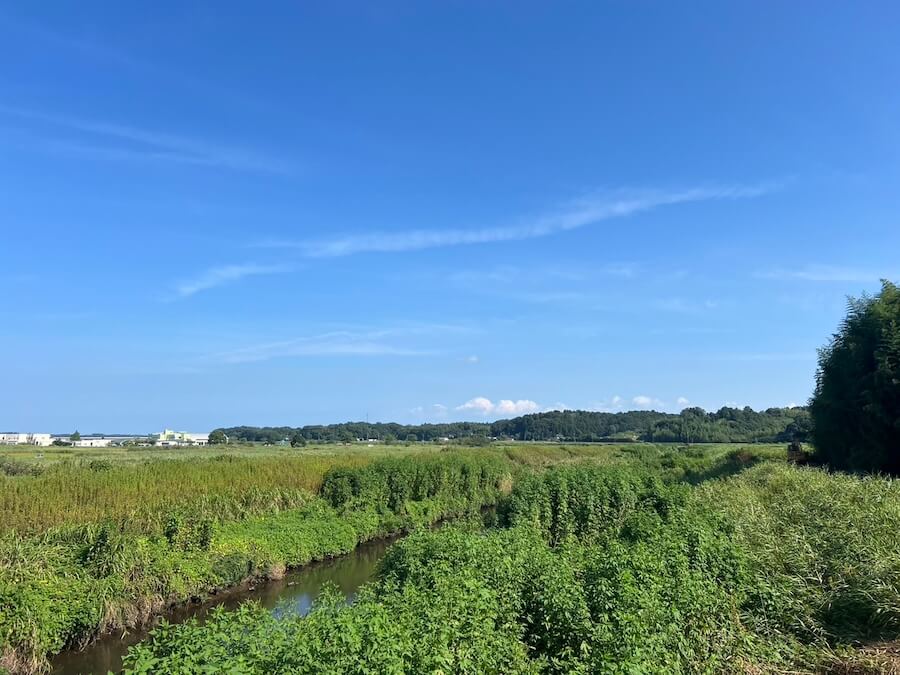 ｜ルアーカラーの組み合わせは無限大。一つの色に50回試作を繰り返すことも。 このこだわりが釣れる色が生まれる秘密！