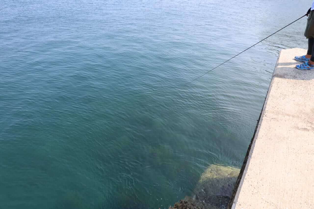 ｜夏の堤防エギング！キロアップアオリイカ攻略【湯川マサタカ直伝】