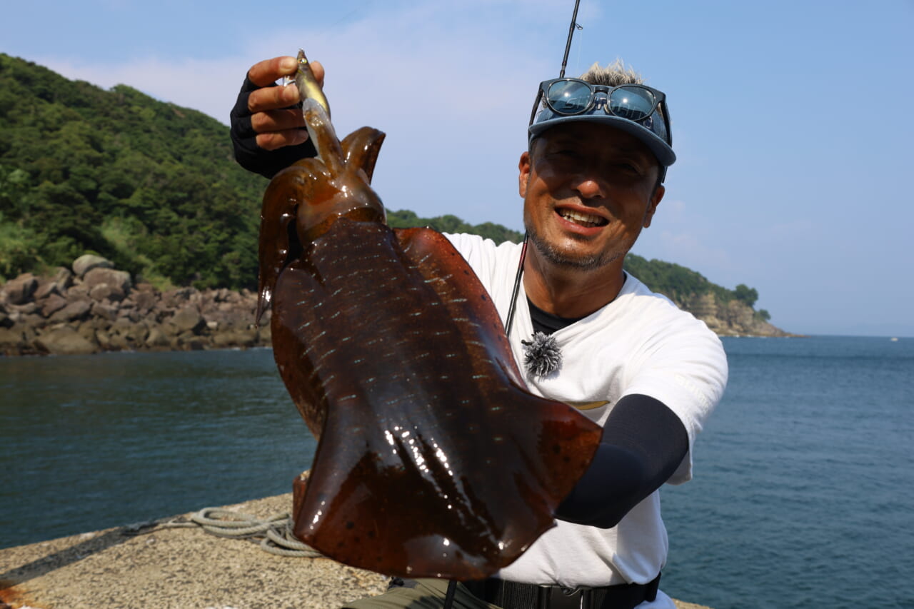 ｜夏の堤防エギング！キロアップアオリイカ攻略【湯川マサタカ直伝】