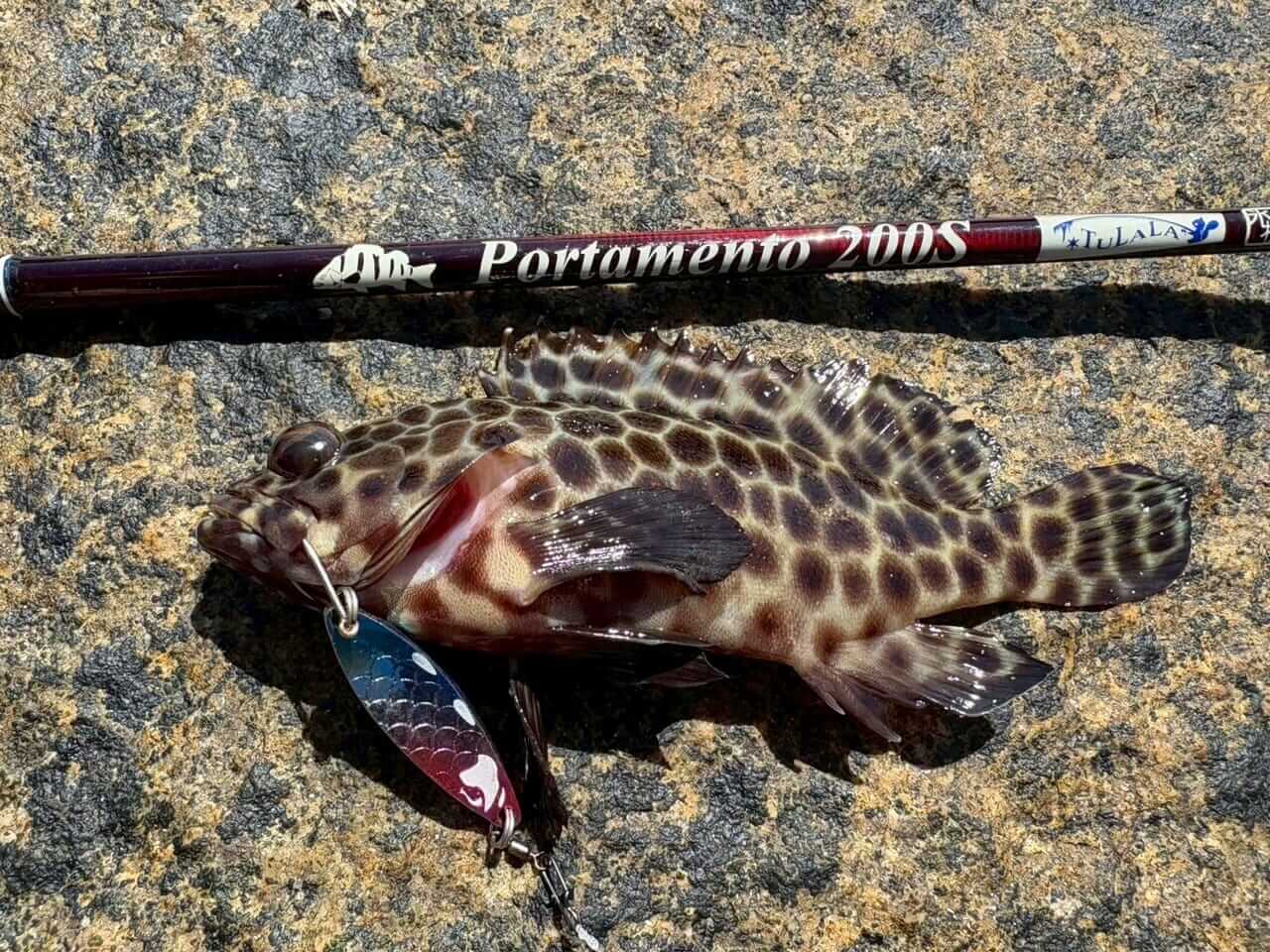 ｜「これがアリゲーターの味…」至るところにワニ注意の看板!? オーストラリア・ケアンズの釣り事情とは？