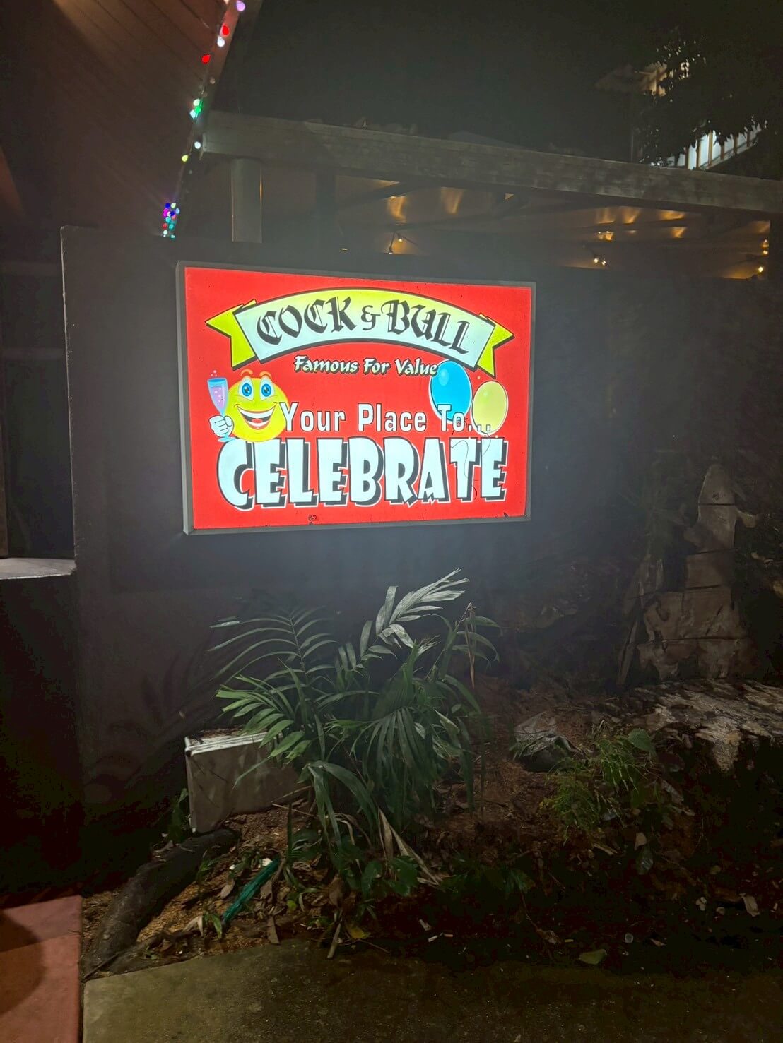｜「これがアリゲーターの味…」至るところにワニ注意の看板!? オーストラリア・ケアンズの釣り事情とは？