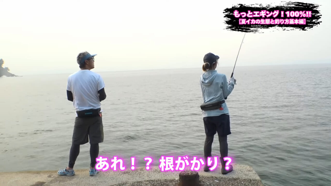 ｜夏の堤防エギング！キロアップアオリイカ攻略【湯川マサタカ直伝】