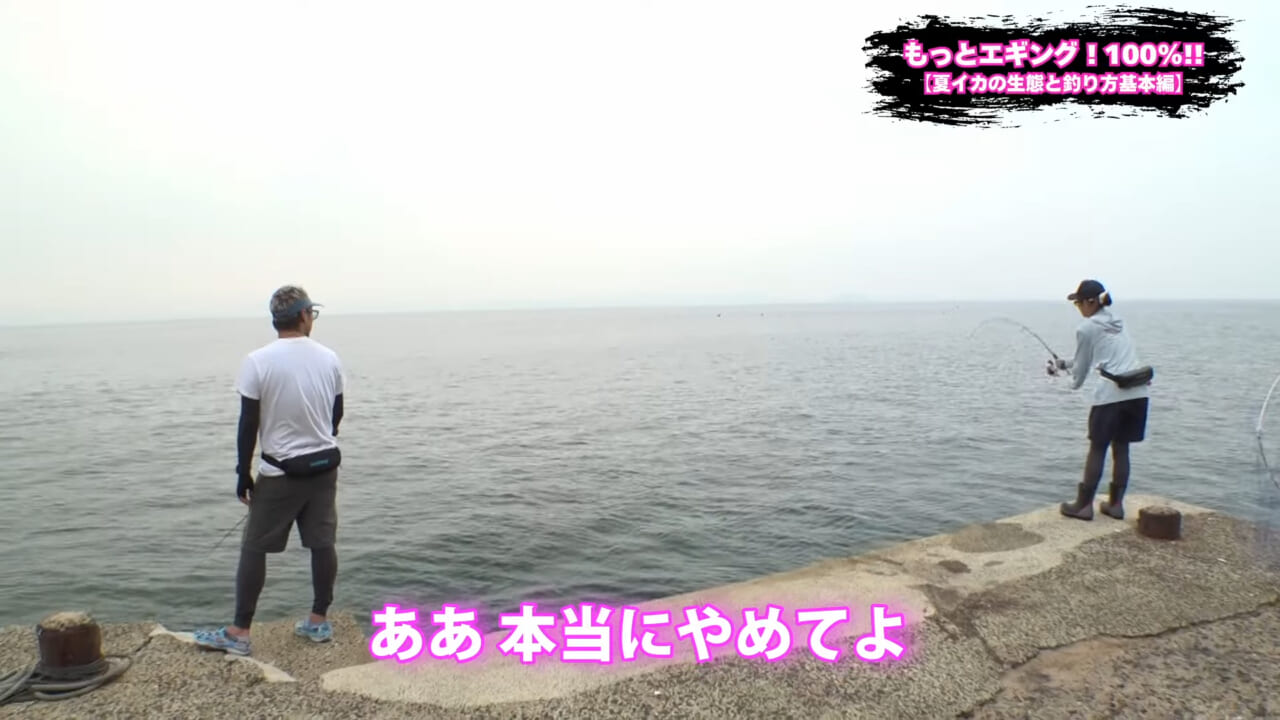 ｜夏の堤防エギング！キロアップアオリイカ攻略【湯川マサタカ直伝】