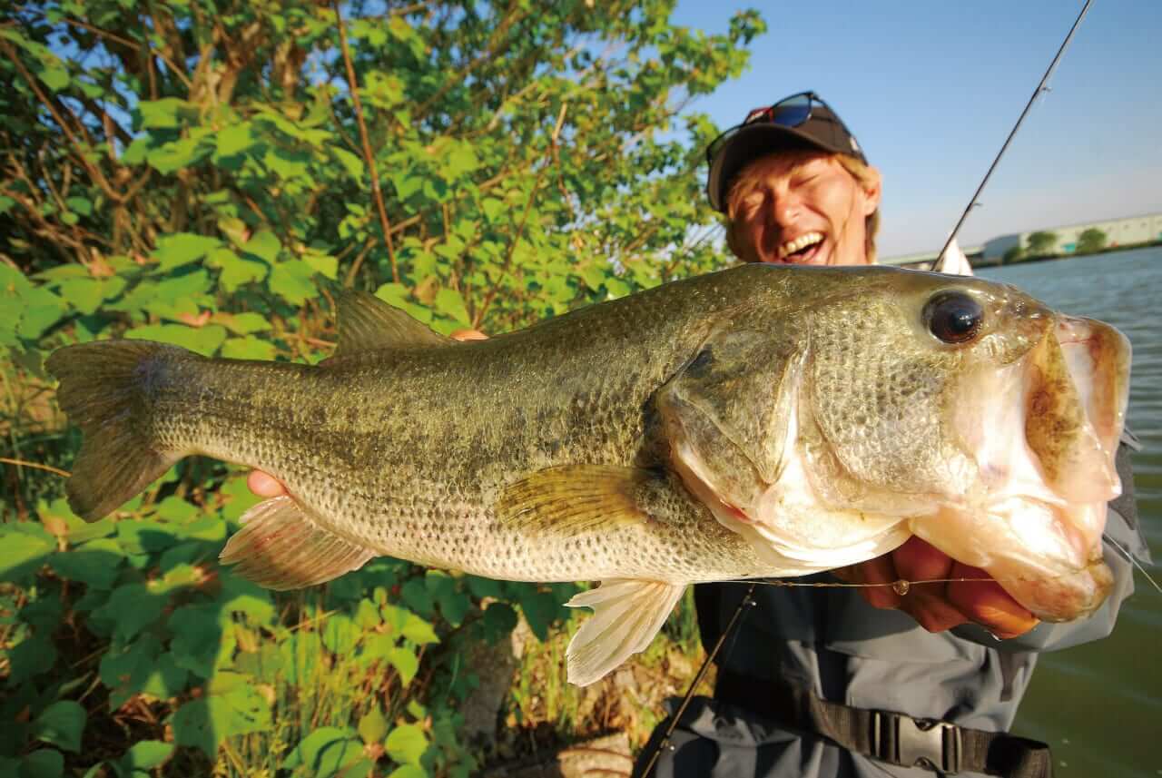 ｜最新バスロッドの実力!大人気フィールドを攻略した25アドレナの使い分け術