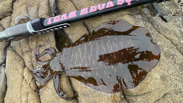 ｜夏こそ本番！快適装備で狙う“夏イカ”ランガンエギング術。釣果アップの工夫とは…？