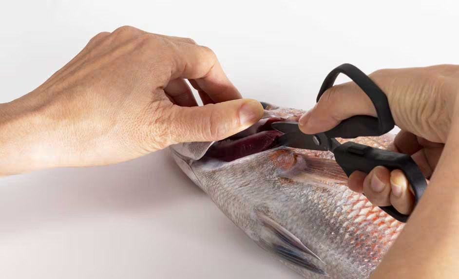 ｜「この切れ味はやばすぎる…」大人気のシマノ製ハサミに待望のサイズが追加、魚もさばけるってマジか…