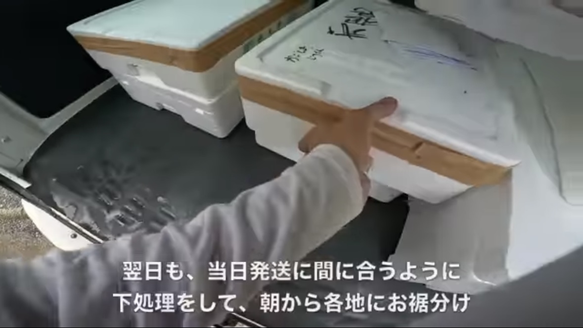 ｜「絶句するレベルの大きさ」「でた！でた！」堤防で“巨大マグロ”を狙ったら、想像を絶する事態に。「これはやばいかも…。」
