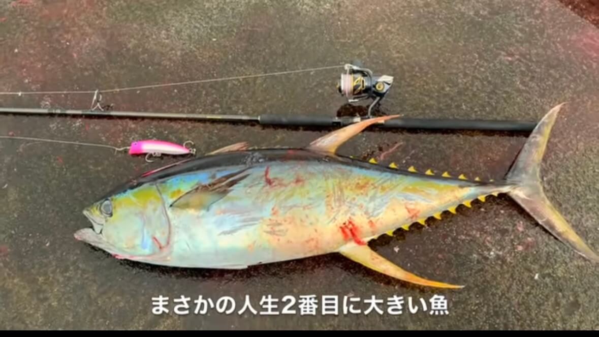 ｜「絶句するレベルの大きさ」「でた！でた！」堤防で“巨大マグロ”を狙ったら、想像を絶する事態に。「これはやばいかも…。」