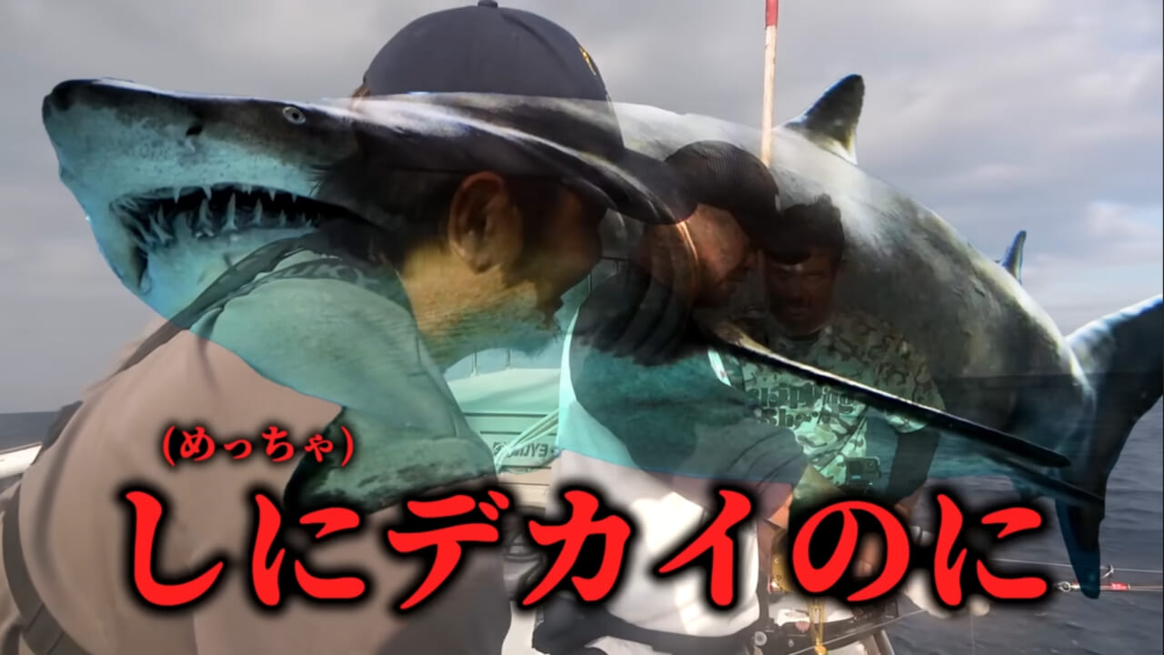 ｜【衝撃映像】「バキン！」「うわっ、折れた！」竿を破壊するほどのサメ。1時間以上にわたる捕獲劇、大人4人がかりで船上へ。