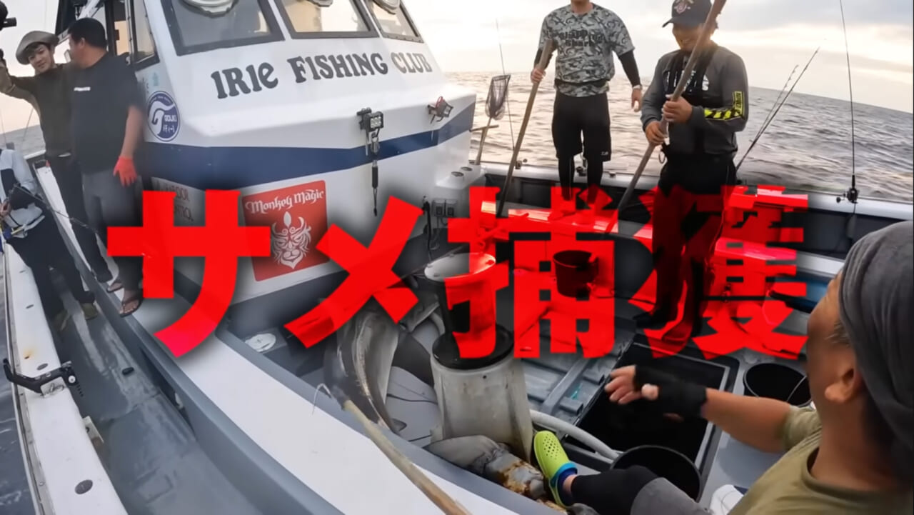 ｜【衝撃映像】「バキン！」「うわっ、折れた！」竿を破壊するほどのサメ。1時間以上にわたる捕獲劇、大人4人がかりで船上へ。