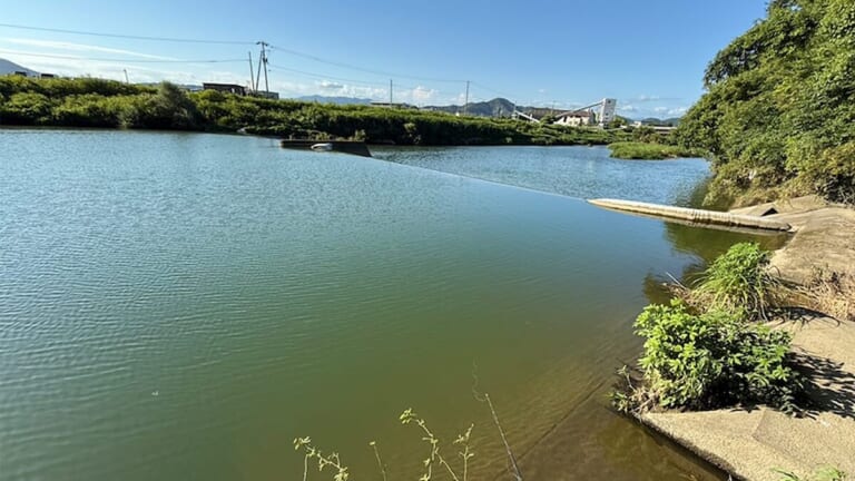 「午後になると見えバスが消えた…」こんなあるあるな展開、対処法は簡単です！魚を探す過程と工夫が一番夢中になる！