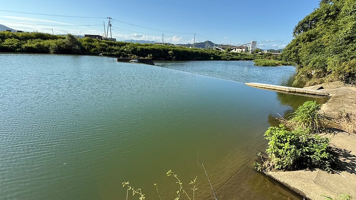 ｜「午後になると見えバスが消えた…」こんなあるあるな展開、対処法は簡単です！魚を探す過程と工夫が一番夢中になる！
