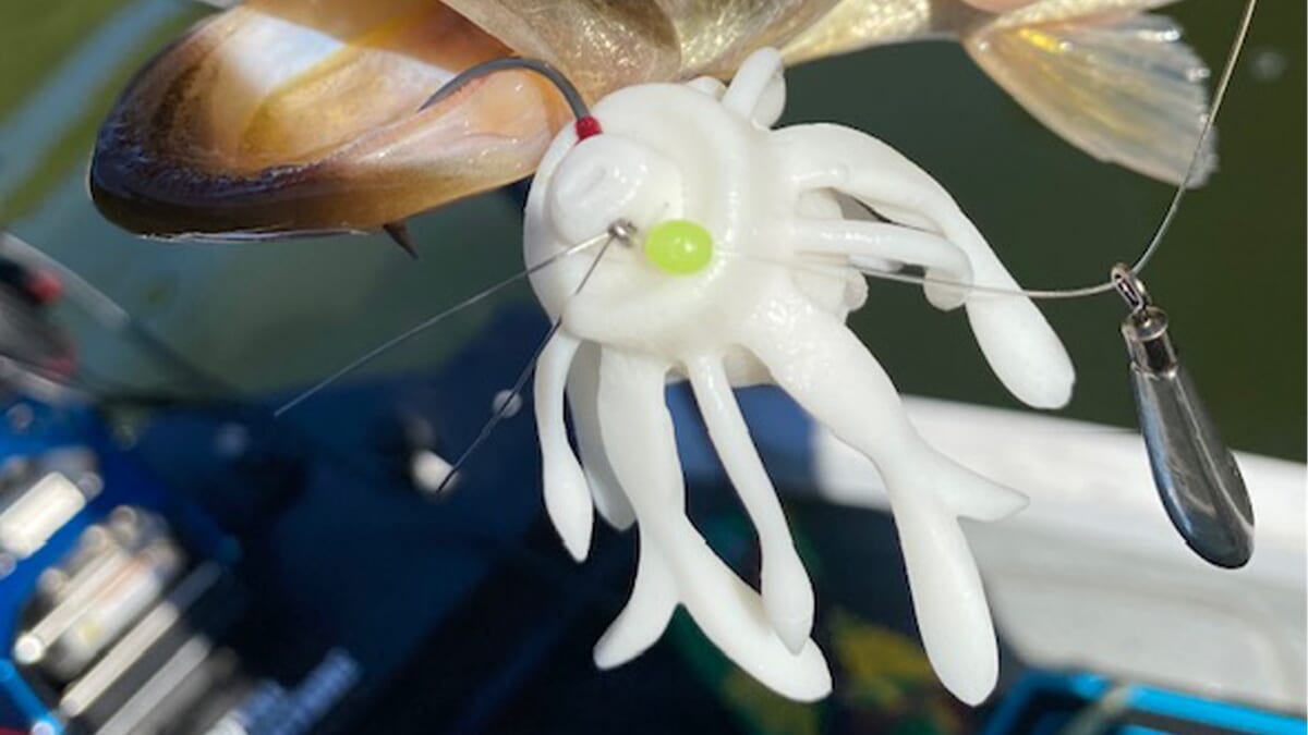 ｜「ポテンシャルが半端ない」活性の高い状況で「フリーキング」が連発！ ずる引きとステイだけでOKなルアーパワー。