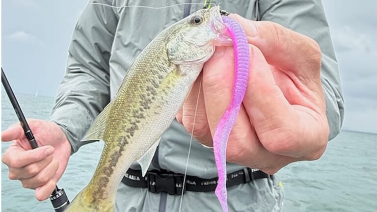 今年の季節の進行は少し早め。「水中の世界は奥が深い…」ルーシーだけでなくロングワームも用意して！