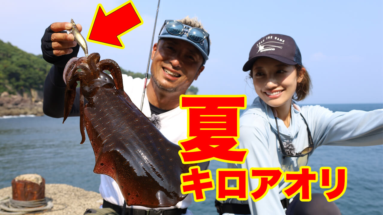 ｜夏の堤防エギング！キロアップアオリイカ攻略【湯川マサタカ直伝】