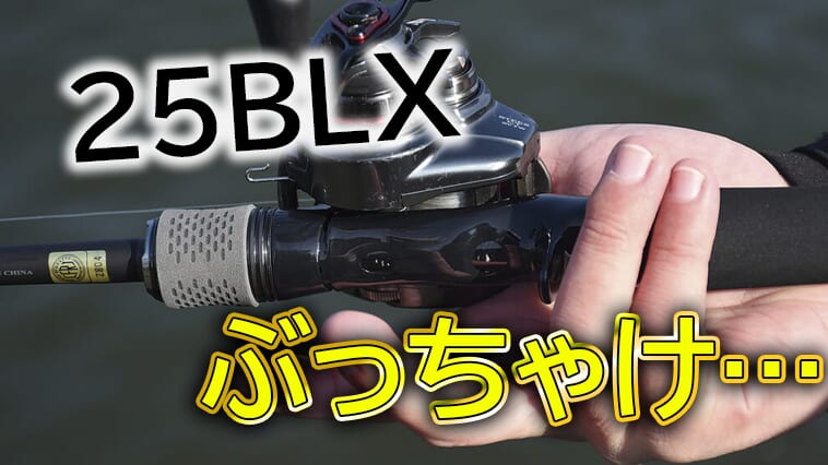 ｜DAIWA最新ロッド実力検証！ルアマガ編集長のお気に入りは…⁉