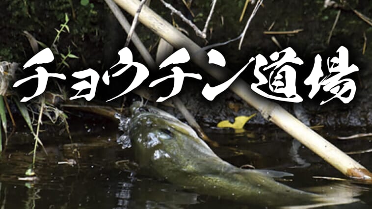 【青木大介のチョウチン道場】吊るすべきカバーとポイントとは？