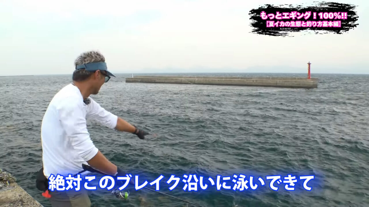 ｜夏の堤防エギング！キロアップアオリイカ攻略【湯川マサタカ直伝】