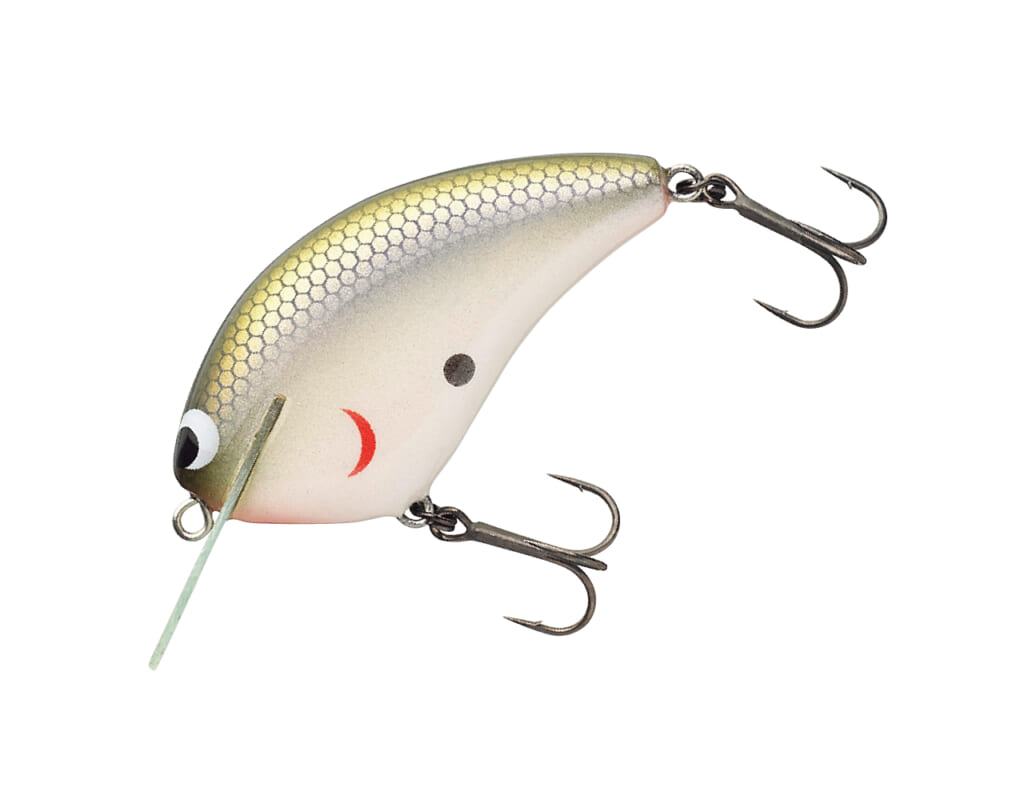 クランクベイトをカバーに絡めて使う。その現実と対応する