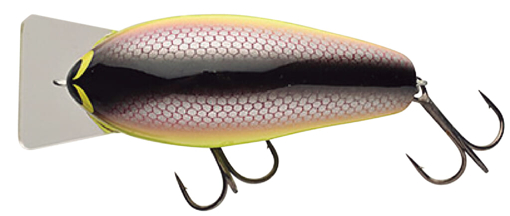 クランクベイトをカバーに絡めて使う。その現実と対応する